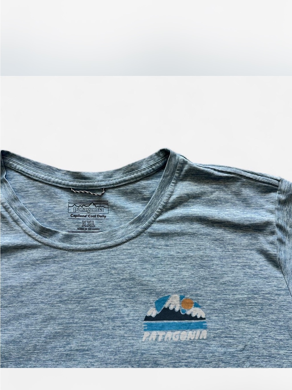 Patagonia Heather Blue Women’s Graphic Tee — Waters